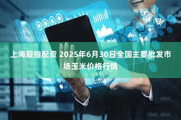 上海股指配资 2025年6月30日全国主要批发市场玉米价格行情