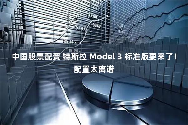 中国股票配资 特斯拉 Model 3 标准版要来了！配置太离谱